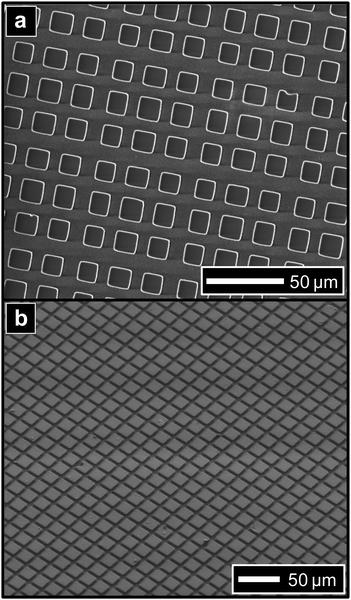 Electron micrographs of PDMS µCP stamps prepared from transmission electron microscopy grids. (a) Plan view of stamp prepared from 600 mesh grid; (b) tilted perspective view of stamp prepared from 1000 mesh grid.