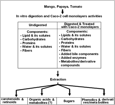 General scheme of sample preparation methods.