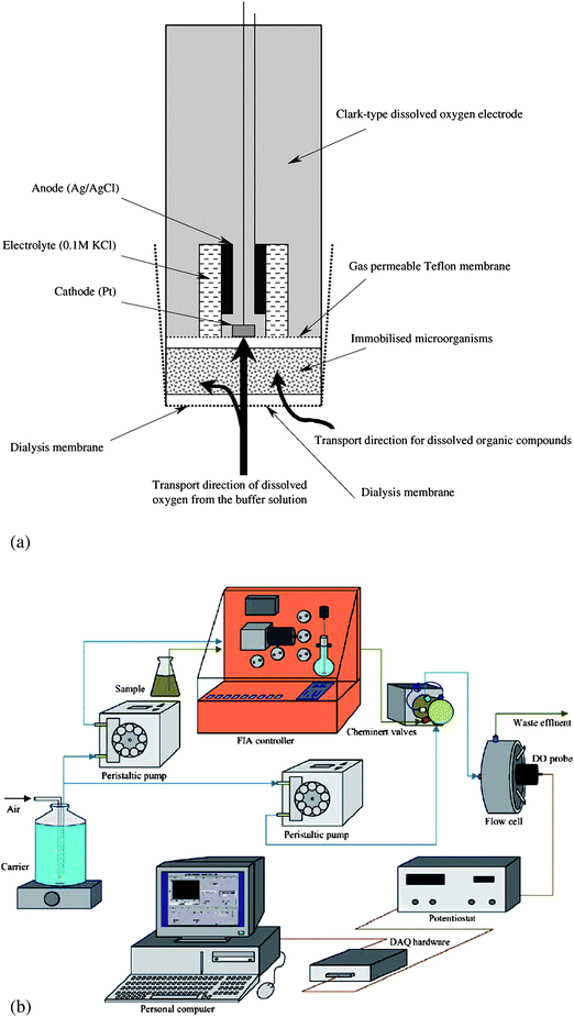 Diagrammatic view of (a) a BOD biosensor showing the immobilised microbial population in juxtaposed with a Clark-type dissolved oxygen electrode, and (b) a flow injection system for automated application of this microbial sensor. (Reproduced from Ref. 76,78 with permission of Elsevier Science B.V.).
