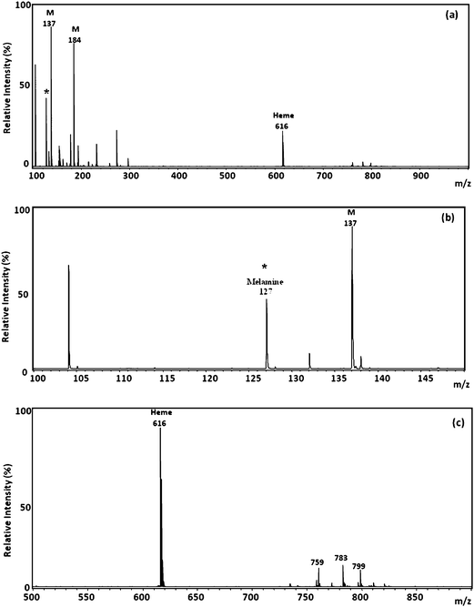 (a) Positive-ion MALDI mass spectra of kidney samples from rats that had been orally administered with a mixture of melamine and cyanuric acid for 3 days. (b) Partial MALDI mass spectra (m/z 100–150). (c) Partial MALDI mass spectra (m/z 500–900). M: matrix ion.