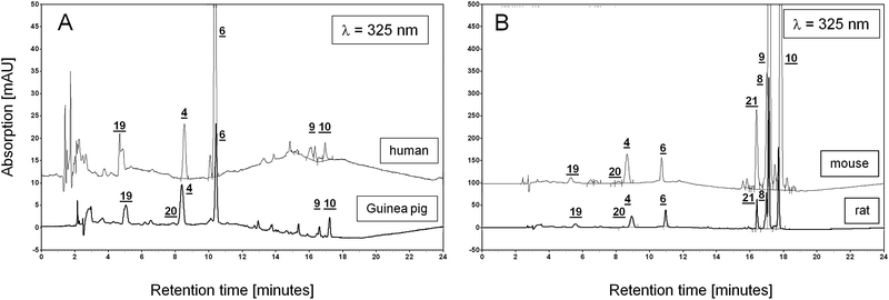 Comparison of chromatograms of lung samples from different species. A: Overlay of chromatograms of lung extracts from guinea pig and human at λ = 325 nm, y-axis range: −5 to 50 mV. B: Overlay of chromatograms of lung extracts from mouse and rats at λ = 325 nm, y-axis range: −50 to 500 mV. All chromatograms were normalized to the weight of the guinea pig lung sample. Numbers refer to each corresponding peak in both overlaid chromatograms. Note the order of magnitude difference between y-axes in A and B. Peak assignment: 4- retinol, 6- retinyl acetate (IS), 8- retinyl oleate, 9- retinyl palmitate, 10- retinyl stearate, 19- BHT, 20- 9-cis retinol, 21- retinyl linoleate.
