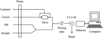 Schematic diagram of the FI-CL system for the determination of Sudan dyes. Luminol: 1.0 × 10−5 mol L−1; Mb: 5.0 × 10−8 mol L−1; NaOH: 0.05 mol L−1; flow rate: 2.0 mL min−1; high voltage: −700 V.