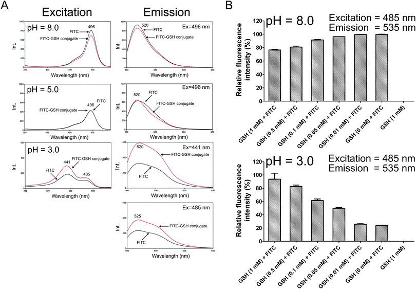The fluorescence spectra and intensities of FITC and FITC-GSH conjugate in different pH environments. (A) Fluorescence excitation (Ex) and fluorescence emission (Em) spectra of FITC and FITC-GSH conjugate at pH 8.0 (concentration of FITC = 0.1 μM), 5.0 (concentration of FITC = 0.1 μM) and 3.0 (concentration of FITC = 1 μM). (B) 0.1 mM FITC was incubated with a series of concentrations of GSH ranging from 0 to 1 mM for 30 min and the fluorescence intensities were measured with excitation at 485 nm and emission at 535 nm under basic (pH 8.0) and acidic (pH 3.0) conditions, respectively.