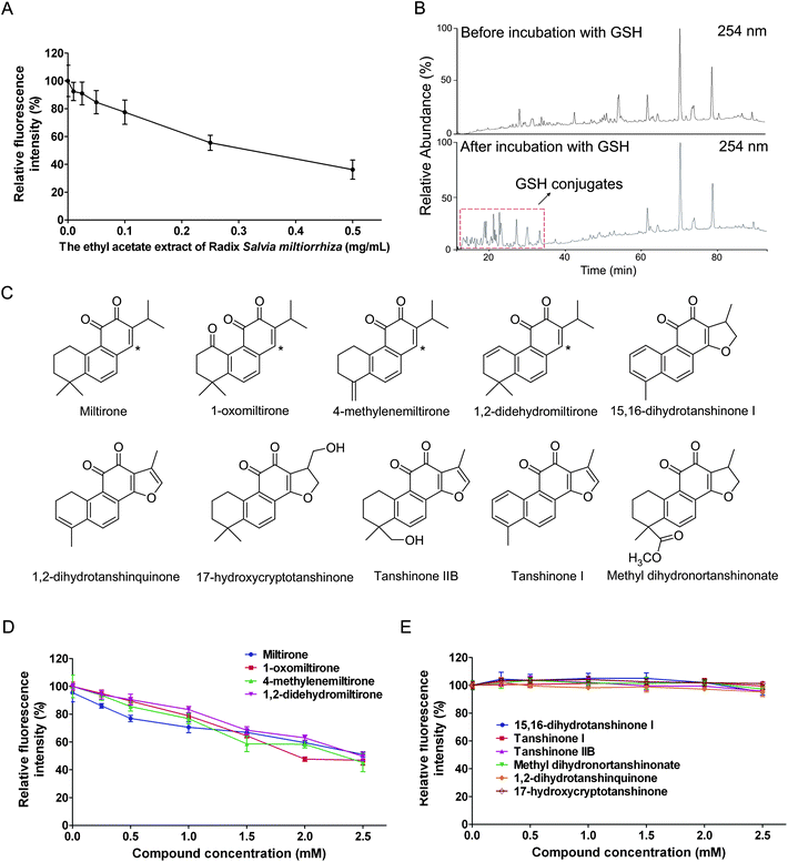 Screening assay for the ethyl acetate extract of S. miltiorrhiza and ten tanshinones isolated from it. (A) A series of concentrations of the ethyl acetate extract of S. miltiorrhiza (0.5 mg mL−1, 0.25 mg mL−1, 0.1 mg mL−1, 0.05 mg mL−1, 0.025 mg mL−1 and 0.01 mg mL−1) were selected to test their alkylating capabilities using the screening assay. (B) The HPLC chromatograms before and after incubation of the ethyl acetate extract of S. miltiorrhiza with GSH, UVλ = 254 nm. (C) Chemical structures of ten tanshinones isolated from the ethyl acetate extract of S. miltiorrhiza. Asterisks represent electron-deficient centers. (D and E) Screening assay for ten isolated tanshinones.