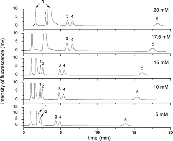 Effect of concentration of CAPS buffer on the pCEC separation of five free BAs. Experiment conditions: mobile phase: 60% (v/v) ACN, 40% (v/v) CAPS buffer (pH 8.0). All other conditions were the same as in Fig. 4. Analytes: 1: NBD-CA; 2: NBD-UDCA; 3: NBD-CDCA; 4: NBD-DCA; 5: NBD-LCA; R: NBD-PZ.