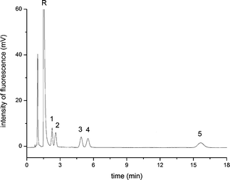 The pCEC chromatogram of five free BAs under the optimum derivatization and separation conditions. Experiment conditions: capillary column: 45 cm (packing length 15 cm) × 100 μm I.D., packed with ODS (3.0 μm), mobile phase: 60% (v/v) ACN, 40% (v/v) CAPS buffer (pH 8.0, 10 mmol L−1); applied voltage 20 kV, flow rate 0.05 mL min−1, supplementary pressure 10.8 MPa, wavelength: λex/λem = 473 nm/530 nm; 4.7 × 10−7 mol L−1 of each analytes. Analytes: 1: NBD-CA; 2: NBD-UDCA; 3: NBD-CDCA; 4: NBD-DCA; 5: NBD-LCA; R: NBD-PZ.