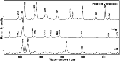 FT-Raman spectra of dried leaves of Polygonum tinctorium together with indigo and indican (indoxyl-β-d-glucoside).