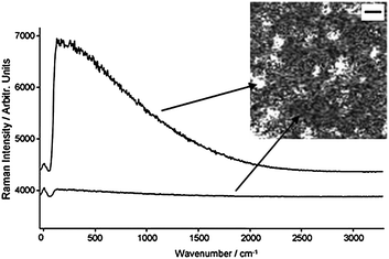 An extracted ‘lactose’ map from a milk chocolate sample showing features. These turned out to be variations within the fluorescence signal intensity as shown. Scale bar in the map is 10 µm.