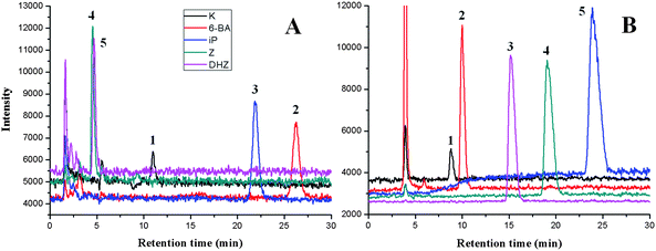 SIM chromatograms of 10 ppb cytokinins separated by ODS (A) and silica gel column (B). The RPLC/MS and HILIC/MS conditions are described in the Experimental section. Peaks: (1) K; (2) 6-BA; (3) iP; (4) Z; (5) DHZ. (m/z 216, 226, 204, 220, 202).