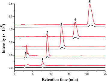 SIM chromatograms of five CKs standard samples obtained by PMME (upper) and directed HILIC/ESI-MS analysis (lower). The concentrations of CKs for PMME and direct HILIC/ESI-MS analysis were 10 ng mL−1. PMME conditions and HILIC/ESI-MS conditions were described in the experiment section. Peaks: (1) K; (2) 6-BA; (3) iP; (4) Z; (5) DHZ. (m/z 216, 226, 204, 220, 202).