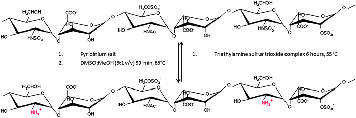 Schematic representation of de-N-sulfation.