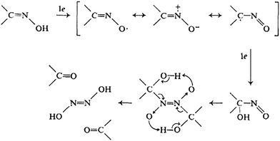 Mechanism of oxidation of oxime group in PAM chloride to carbonyl group.