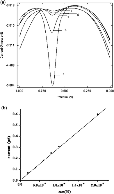 (a) Square wave voltammogram of PAM chloride of different concentrations a) 1 × 10−3M. b) 1 × 10−4 M c) 1 × 10−5 M d) 1 × 10−6 M e) 1 × 10−7 M at poly(p-TSA) modified GCE at 25 °C. (b) Calibration curve for PAM chloride at poly(p-TSA) modified GCE at 25 °C.