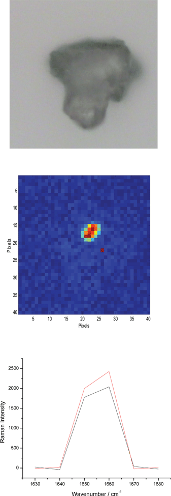 The optical microscopy image and the corresponding chemical image of the API A at 1660 cm−1 (both 200 × 200 μm2). The Raman spectra below are obtained from two random red pixels in the image above. This particular signal is about 10 times more intense than in any other case in which a similar situation is observed.