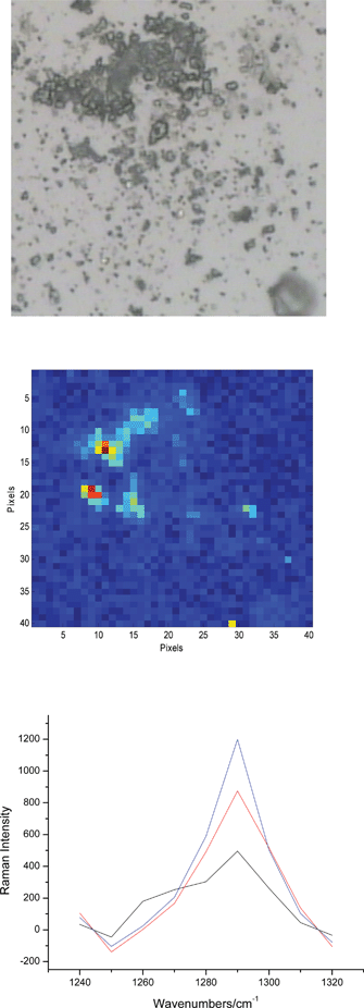 An example of the images from a group of small particles after the dispersion by Occhio. Optical microscopy and Raman chemical image of the API B are shown (both 200 × 200 μm2). As in the previous figure, a few Raman spectra are selected from the red pixels in the chemical image. The selected spectra only feature the band at 1290 cm−1 which points out to the absence of lactose from the few particles from which the spectra are obtained.