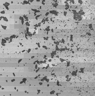 An optical microscopy image obtained from the manually dispersed blend (about 4 × 4 mm2). The particles are much closer to each other here than in Fig. 2 but it is still easy to select and image large particles of lactose (a FOV is 200 μm).