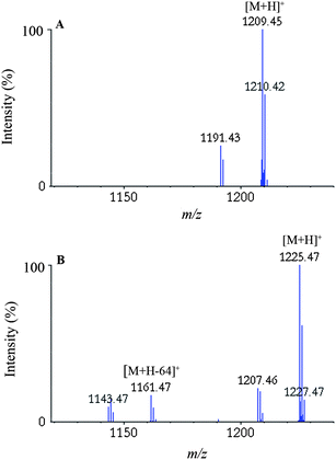 A close-up of the MS/MSspectra for the P.antarctica lipase B peptide QNCEPDLMPY: (A) without oxidation and (B) with oxidation of the Met residue, obtained after treatment with water and H2O2, respectively. The peak at m/z 1161.5 in (B) corresponds to the characteristic loss of CH3SOH occurring during MS/MS analysis of peptides containing oxidized Met. The additional peaks in the spectra correspond to the loss of water (−18 Da) from the respective ions. Reprinted from ref. 21 with permission.