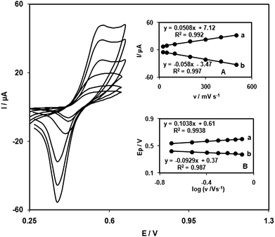 Cyclic voltammograms of QZTNMCPE in 0.1 M phosphate buffer (pH 7.0) at various scan rates (from inner to outer) 25, 50, 100, 200, 300, 400 and 500 mVs−1. (A) Plot of anodic (a) and cathodic (b) peak currents of QZTNMCPE vs. v from cyclic voltammograms. (B) Variation of Epa and Epcversus the logarithm of the high scan rates.