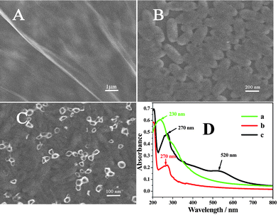 Representative SEM images of Gr/GCE (A), l-cys/Gr/GCE (B), GNP/l-cys/Gr (C), (D): UV-vis absorption spectra of (a) Gr oxides, (b) Gr and (c) GNP/L-cys/Gr in water.