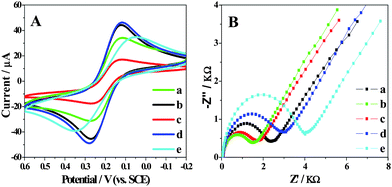 (A) CV characterization of bare GCE (a), Gr (b), l-cys/Gr (c), GNP/l-cys/Gr (d) and Ab1/GNP/l-cys/Gr (e) modified GCE at a scan rate of 100 mV s−1. (B) EIS for the l-cys/Gr/GCE (a), GNP/l-cys/Gr/GCE (b), Ab1/GNP/l-cys/Gr/GCE (c), Ag/Ab1/GNP/l-cys/Gr/GCE (d) and HRP–Ab2/Ag/Ab1/GNP/l-cys/Gr/GCE (e) in 5 mM K3Fe(CN)6 with 0.1 M KCl.