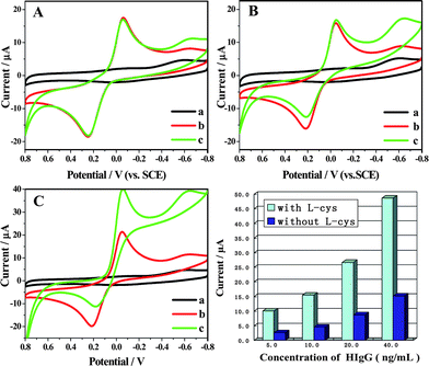 CVs of different modified electrodes in 50 mmol L−1 pH 7.4 PBS (a), 50 mmol L−1 pH 7.4 PBS containing 2.0 mmol L−1 HQ (b) and 50 mmol L−1 pH 7.4 PBS containing 1.0 mmol L−1 HQ and 2.0 mmol L−1 H2O2 (c), scan rate: 100 mV s−1: (A) GNP/l-cys/Gr/GCE (B) HRP–Ab–Ag complexes/GNP/l-cys/GCE (without Gr) and (C) HRP–Ab–Ag complexes/GNP/l-cys/Gr/GCE (with Gr). (D) The response of different platform (with and without the crosslinker of l-cys) of the immunosensor to different concentrations of the HIgG.