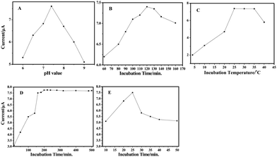 Effects of (A) pH of detection solution, (B) incubation time, (C) incubation temperature, (D) the amount of Ab1 and (E) Ab2–HRP at the immunosensor.