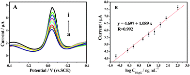 (A) Typical DPV of electrochemical immunoassay in 50 mM pH 7.4 PBS containing 1.0 mM HQ and 2.0 mM H2O2 with increasing HIgG concentration from (a) to (i) (0.2, 0.8, 1.6, 5.0, 10, 20, 40, 80 and 320 ng mL−1 HIgG, respectively). (B) The resulting calibration curve of HIgG plotted on a semi-log scale.