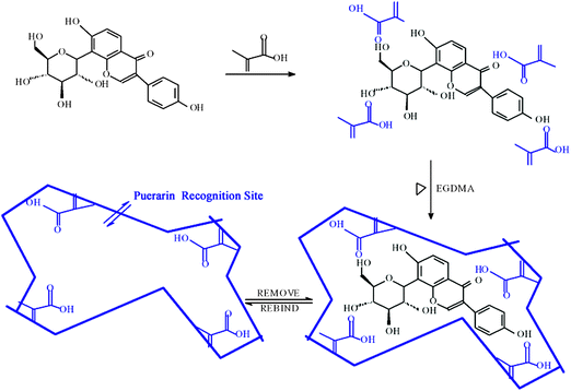 Schematic representation of MMIMs synthesis.