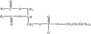 The chemical structure of phosphatidylcholine.