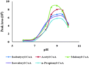 The derivatizing pH effect on the peak areas of 5 CoA standards. The experimental conditions were the same as those of Fig. 2, except for the pHs of the derivatizaion buffer.