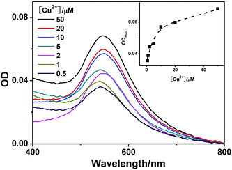 The UV-visible spectra of streptavidin–GNP stained SHG-44 cells (2.25 × 105 cells mL−1). The cells were co-cultured with 4.1 μM Aβ1–16(biotin) and various concentrations of Cu2+; then stained by streptavidin–GNPs (2.4 nM). Inset shows the corresponding maximum absorbance changes of the streptavidin–GNP stained SHG-44 cells.