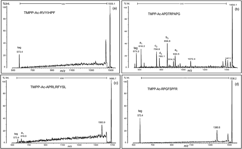 PSD spectra of four TMPP-acetylated peptides containing arginine residue(s).