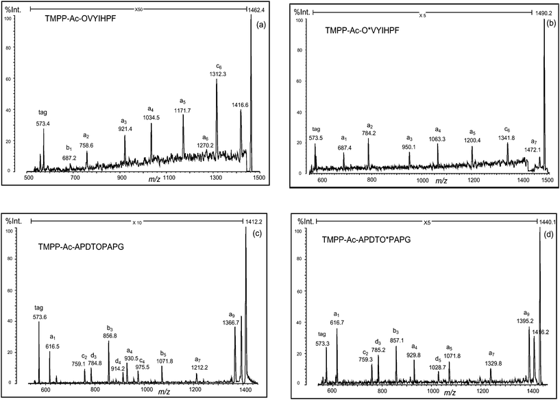 PSD spectra of deguanidinated peptides ((a) TMPP-Ac-OVYIHPF and (c) TMPP-Ac-APDTOPAPG) and their formylated forms ((b) TMPP-Ac-O*VYIHPF and (d) TMPP-Ac-APDTO*PAPG). O: ornithine residue and O*: formylated ornithine residue.