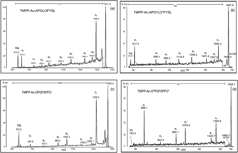 PSD spectra of deguanidinated peptides ((a) TMPP-Ac-APOLOFYSL and (c) TMPP-Ac-OPGFSPFO) and their formylated forms ((b) TMPP-Ac-APO*LO*FYS and (d) TMPP-Ac-O*PGFSPFO*). O: ornithine residue and O*: formylated ornithine residue.