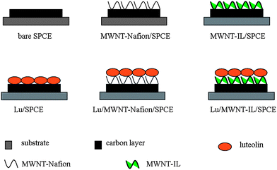 Scheme of different electrode configuration.