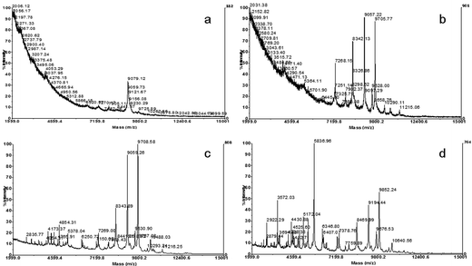 Spectra obtained by analysis of whole cell suspensions of a Morganella morganii strain, diluted in different volumes of matrix solution: a) 10 μL, b) 20 μL, c) 50 μL and d) 100 μL.
