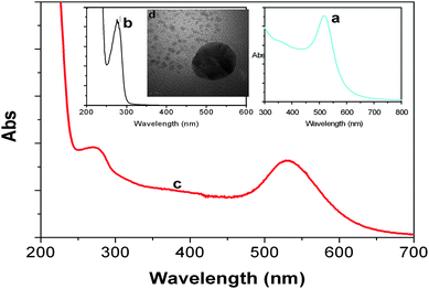 UV-vis absorption spectra of (a) gold colloids, (b) HRP-anti-AFP, and (c) HRP-anti-AFP-AuNP. Inset: (d) HRTEM image of gold nanoparticle.