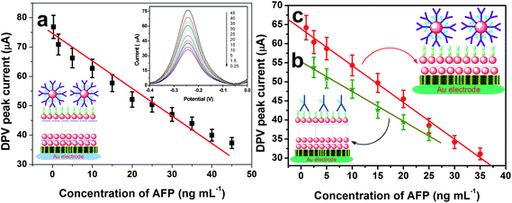 Calibration curves of (a) the {Thi/AuNP}3-modified immunosensor with HRP-anti-AFP-AuNP, (b) the {Thi/AuNP}3-modified immunosensor with HRP-anti-AFP, and (c) the {Thi/AuNP}1-modified immunosensor with HRP-anti-AFP-AuNP toward AFP standards.