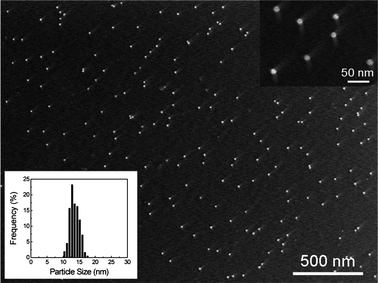 SEM image of dextran-capped AuNPs and histogram of their size distributions. The average particle size is 13.6 ± 1.4 nm and the total number of particles counted for the histogram is 375.