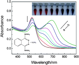 UV-vis absorption spectra of dextran-capped AuNPs in the presence of DHZS. Concentrations: AuNPs, 2.5 nmol L−1; DHZS (in the order of Curves a–h, μmol L−1): 0, 0.5, 1.0, 2.0, 3.0, 4.0, 5.0, 6.0; NaCl, 90 mmol L−1; pH, 8.6. The inserted pictures from left to right at the top displays the color change corresponding to Curves a–h, while the inserted picture in the bottom is the molecular structure of DHZS.