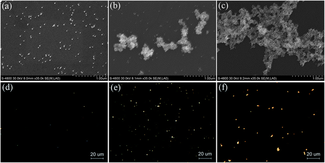 SEM images and dark-field scattering images of dextran-capped AuNPs in the absence and presence of DHZS. Concentrations: AuNPs, 2.5 nmol L−1; NaCl, 90 mmol L−1; DHZS (μmol L−1): (a, d) 0; (b, e) 2.0; (c, f) 5.0; pH, 8.6.