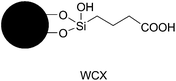 The structure of the WCX matrix.