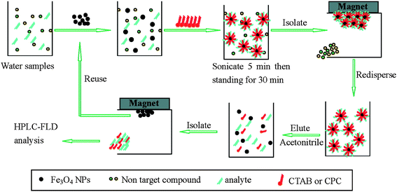 An illustration of the steps involved in extracting phenolic compounds from environmental water by using CTAB/nanomagnets Fe3O4 sorbents. (From ref. 21, with kind permission of American Chemical Society).