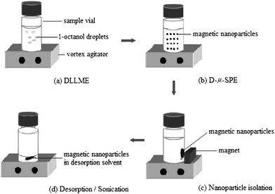 The combination of dispersive liquid–liquid microextraction (DLLME) and microsolid-phase extraction (D-μ-SPE) extraction for the enrichment of PAH. (From ref. 29, with kind permission of American Chemical Society).