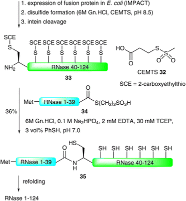 EPL-based synthesis of full length RNase.68