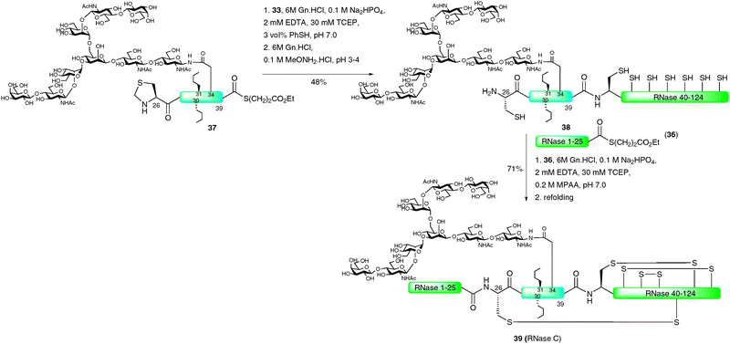 Total synthesis of a homogeneous glycoform of full length RNase C via EPL.69