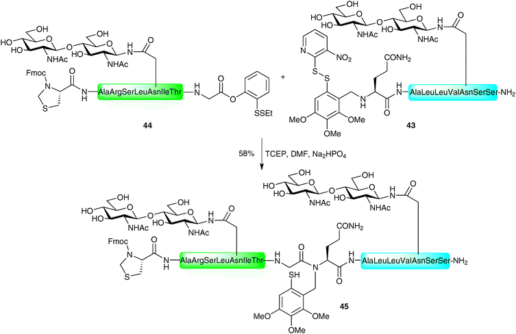 Synthesis of N-linked glycopeptide 45 using a variant of the Tmb auxiliary.74