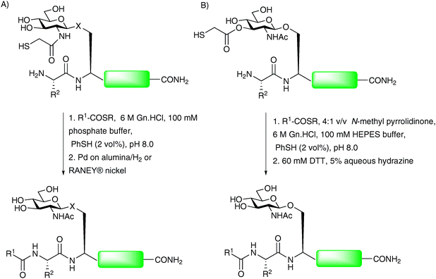 (A) Synthesis of O- and N-linked glycopeptides by sugar-assisted ligation (SAL), X = –O– or –NH(CO)–; (B) second generation SAL.76,79