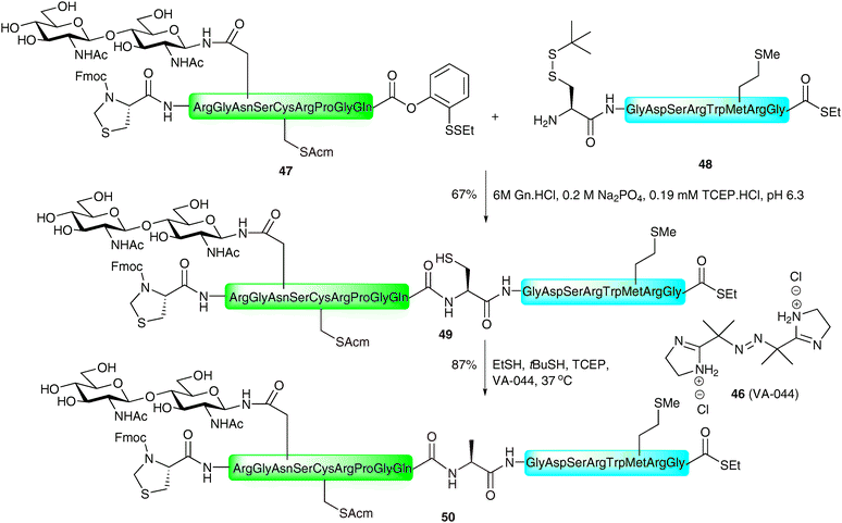 Synthesis of model glycopeptide 49 by NCL followed by metal-free desulfurisation of cysteine to alanine.87