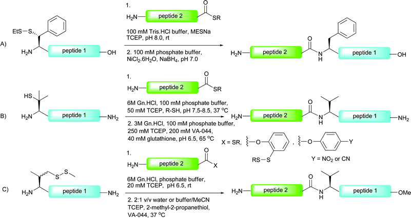 NCL-desulfurisation at (A) phenylalanine96 and (B) and (C) valine.86,98